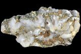 Pyrite On Calcite - El Hammam Mine, Morocco #80716-2